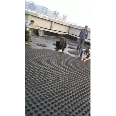 山西晋城屋顶绿化排水板、阻根板厂家欢迎您