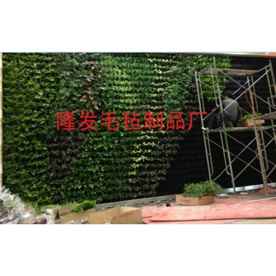 壁挂式种花美植袋,绿墙种植袋,爬墙种植袋,立体种植袋