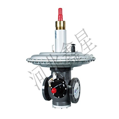 RTZ-AQ燃气调压器 燃气减压阀 燃气调压柜 燃气过滤器