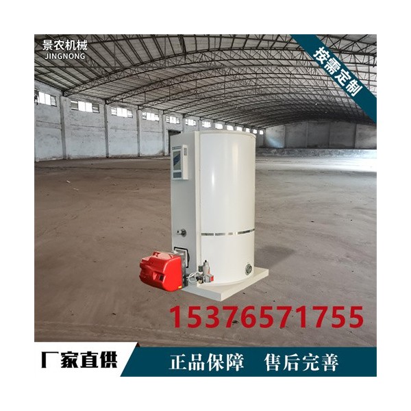 立式常压热水锅炉 供暖常压锅炉 家用沼气锅炉