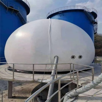 双膜干式储气柜 球形双膜储气柜 大型沼气工程 景农