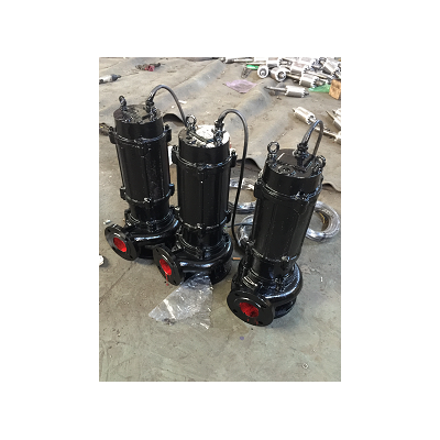 WQ65-25-15-2.2移动式潜水泵