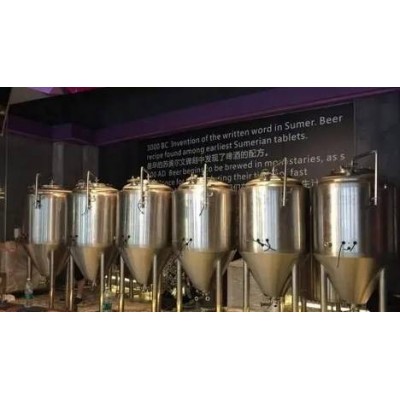 通化啤酒屋小型啤酒设备 日产2000升啤酒设备